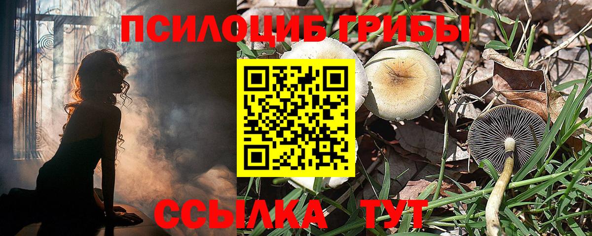 Галлюциногенные грибы Magic Shrooms  Псилоцибиновые грибы Magic Shrooms  Обь  наркотики  Вход с VPN 
